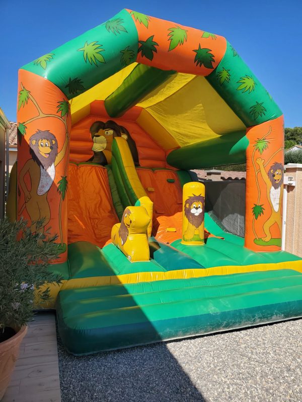 château gonflable le roi lion