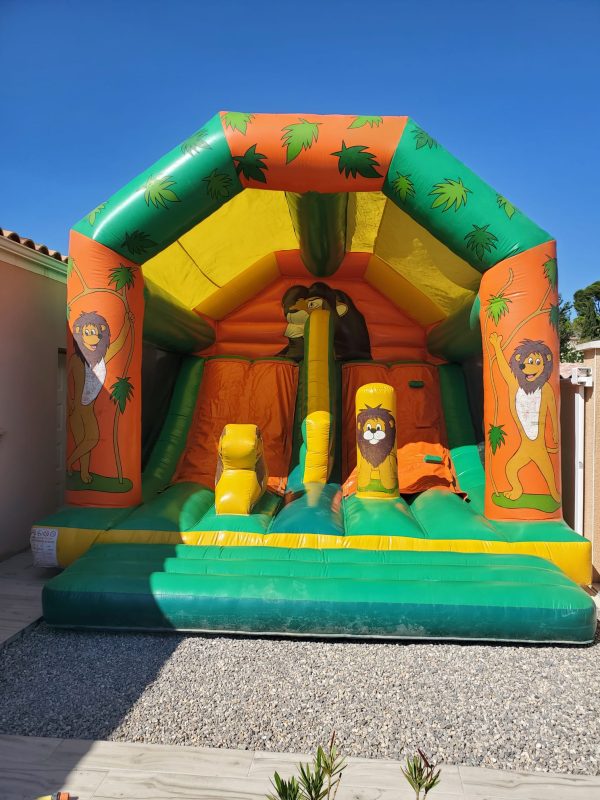 château gonflable le roi lion